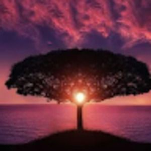 Meet your Posher, Michel